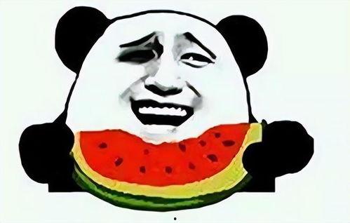 带你吃瓜奇葩标识,那些令人捧腹的奇葩标识大集合