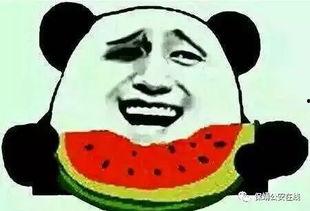 吃瓜群 微信,微信社交新现象背后的故事