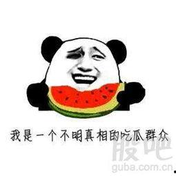 当我们吃瓜群众,吃瓜群众视角下的社会百态