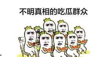 吃瓜效率,揭秘高效吃瓜技巧与心得