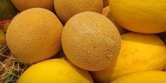 哈密瓜春季吃,哈密瓜春季美食之旅