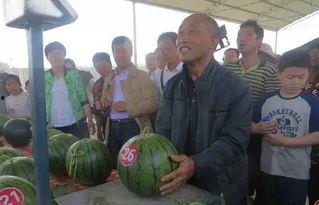 沐阳吃瓜群众事件,网络舆论的风暴与反思