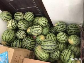 溪子吃瓜,揭秘夏日消暑新潮流