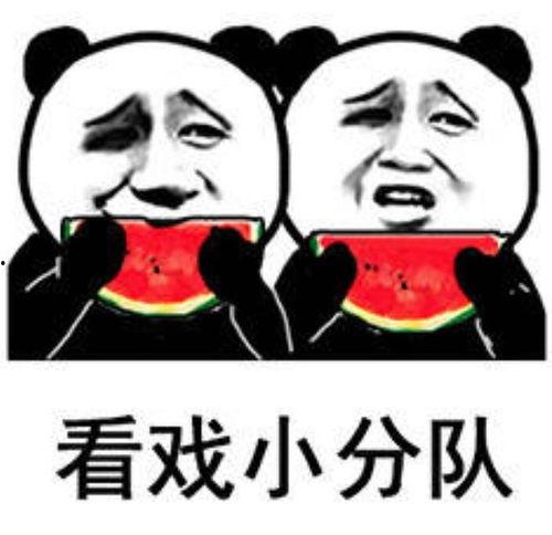 表情包女吃瓜,揭秘网络表情包背后的趣味与智慧
